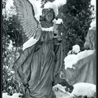 snow-angel. sw