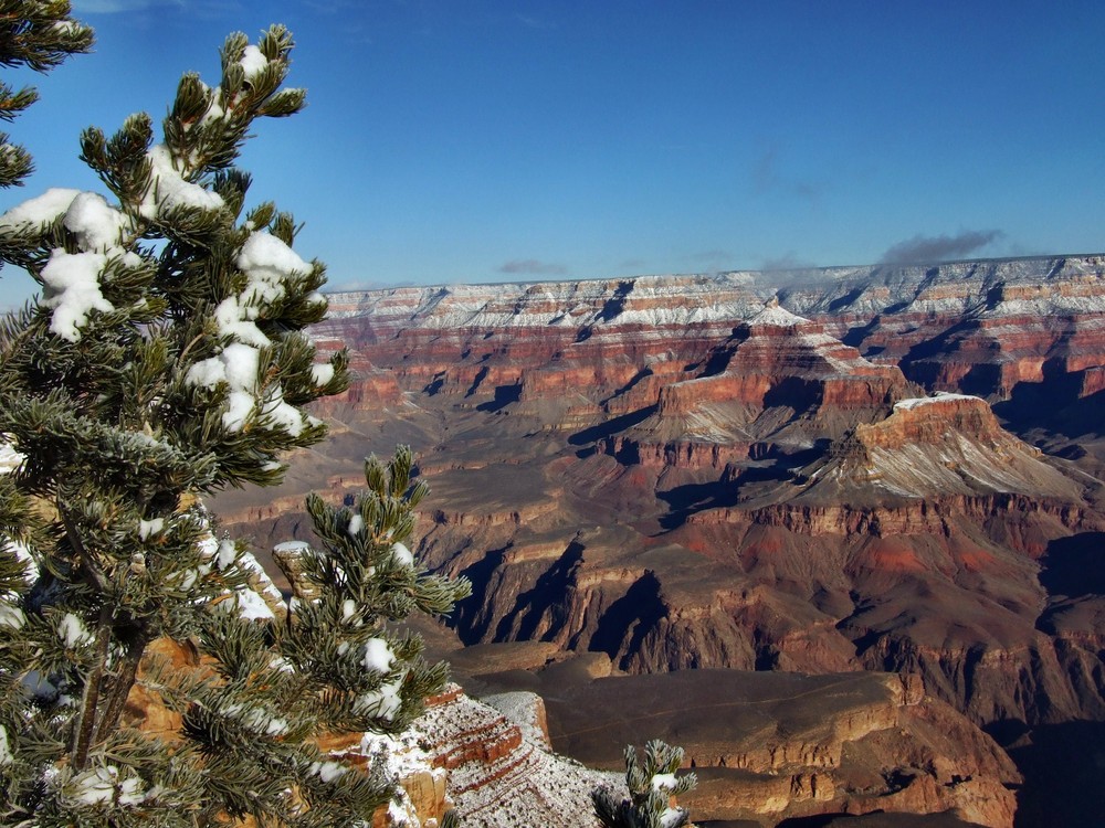 Snow at Grand Canyon