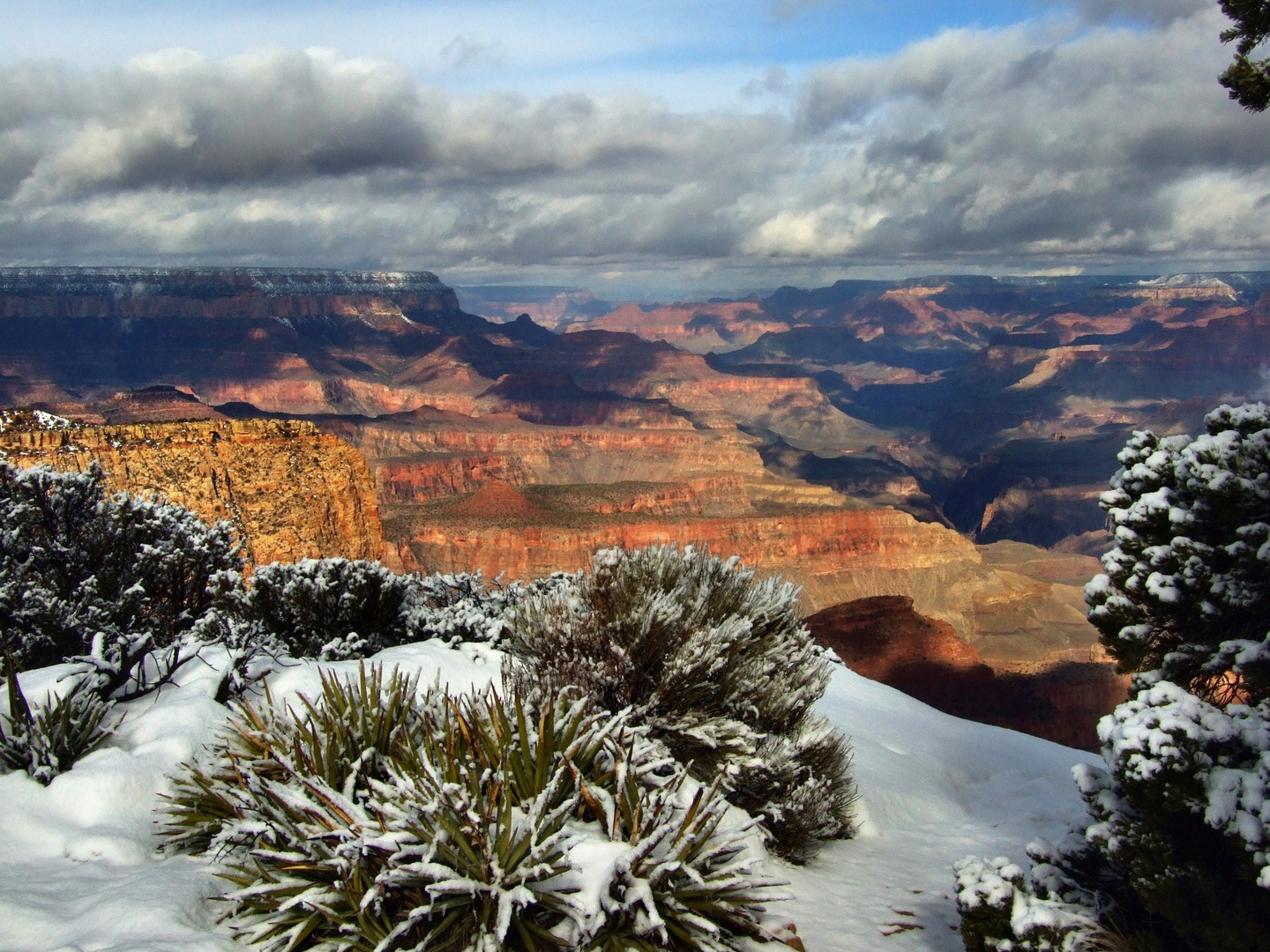 Snow at Grand Canyon