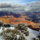 Snow at Grand Canyon