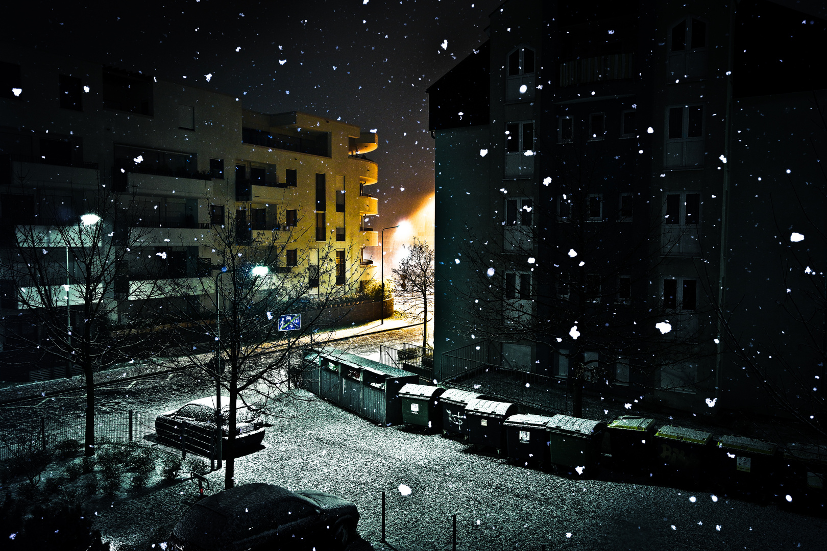 Snow at Night