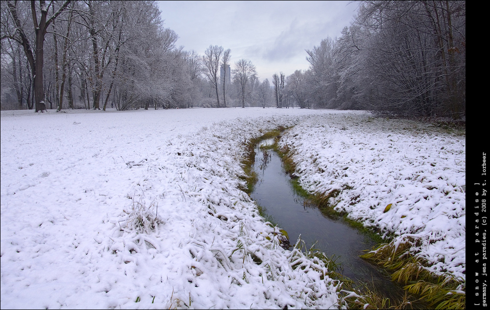 [ snow at paradise ]