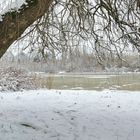 Snow at Trout Lake