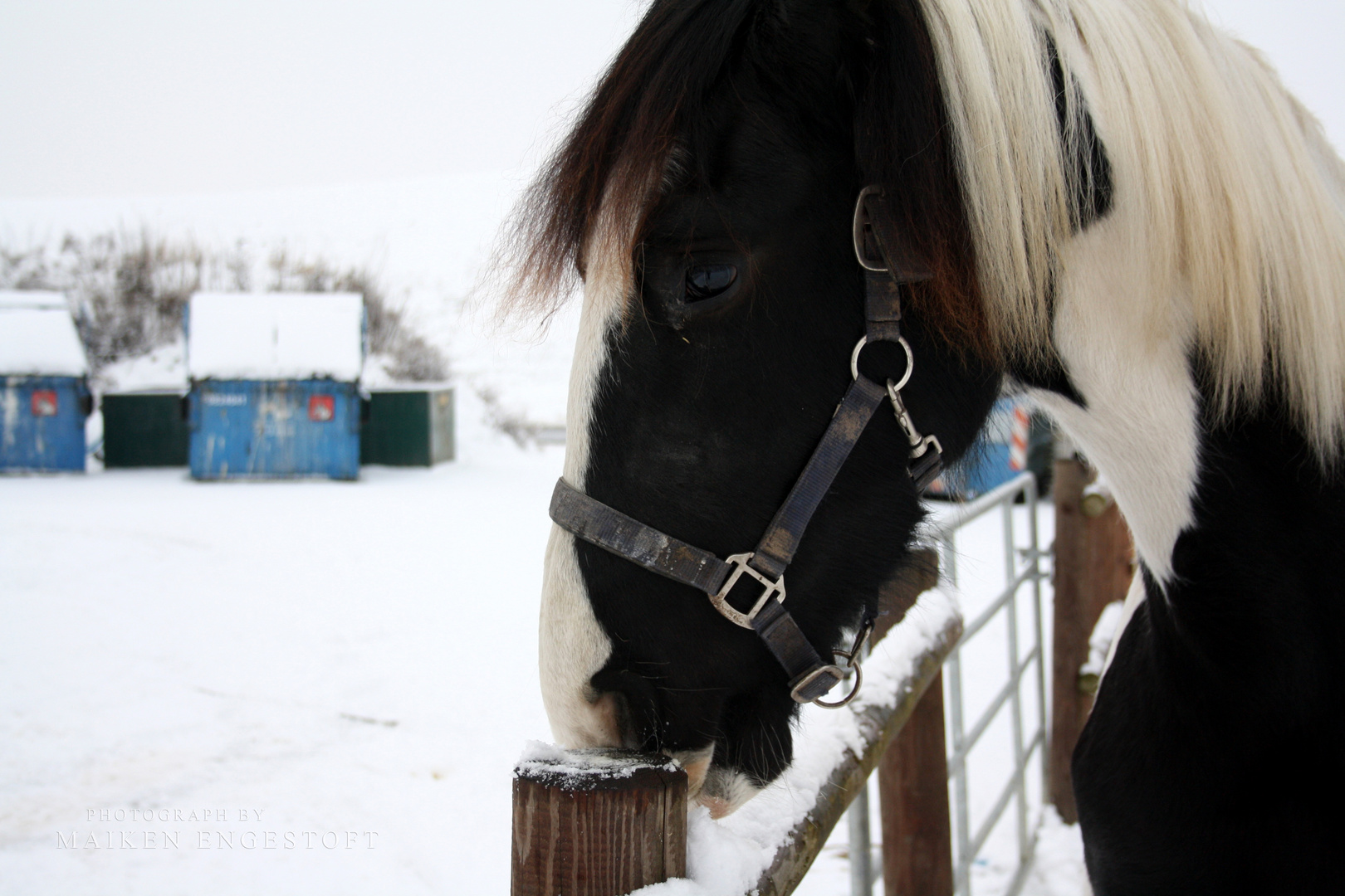 SNOW!