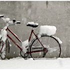 snow-bike