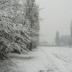 snow branches