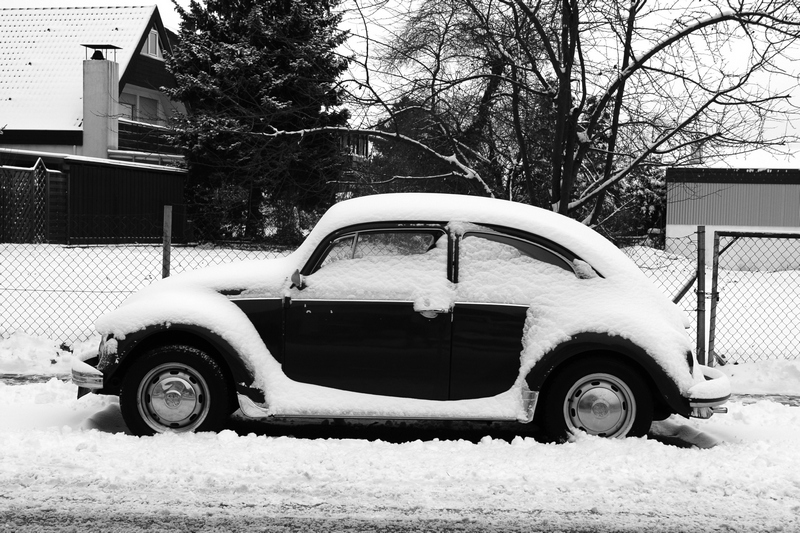 Snow-Bug