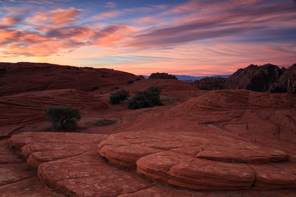 Snow Canyon