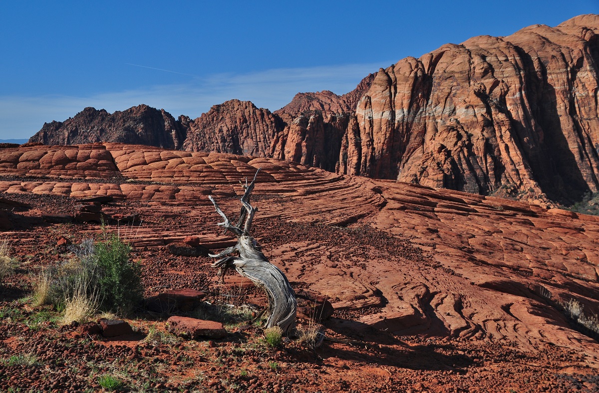 Snow Canyon