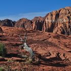 Snow Canyon