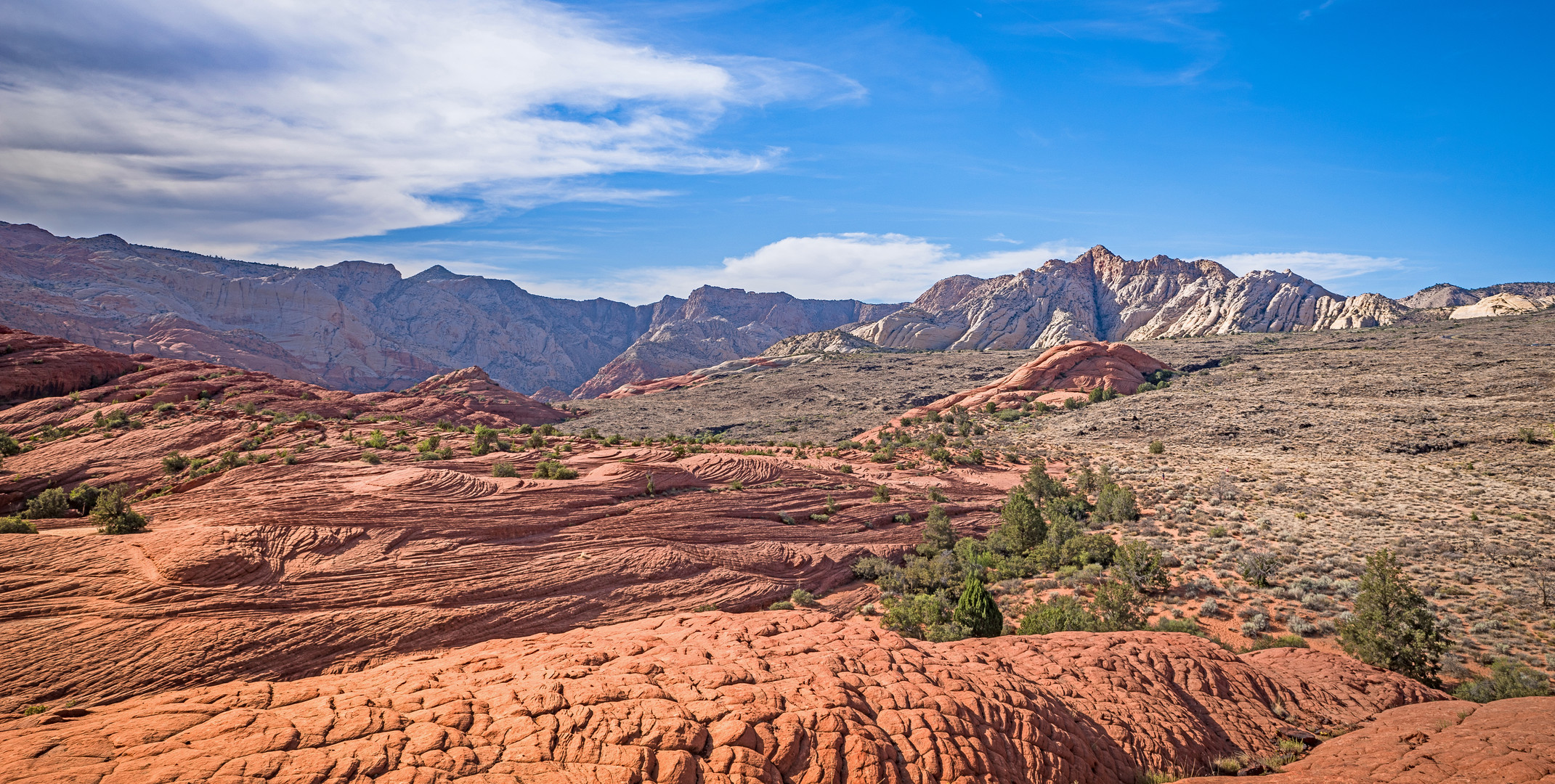 Snow Canyon 