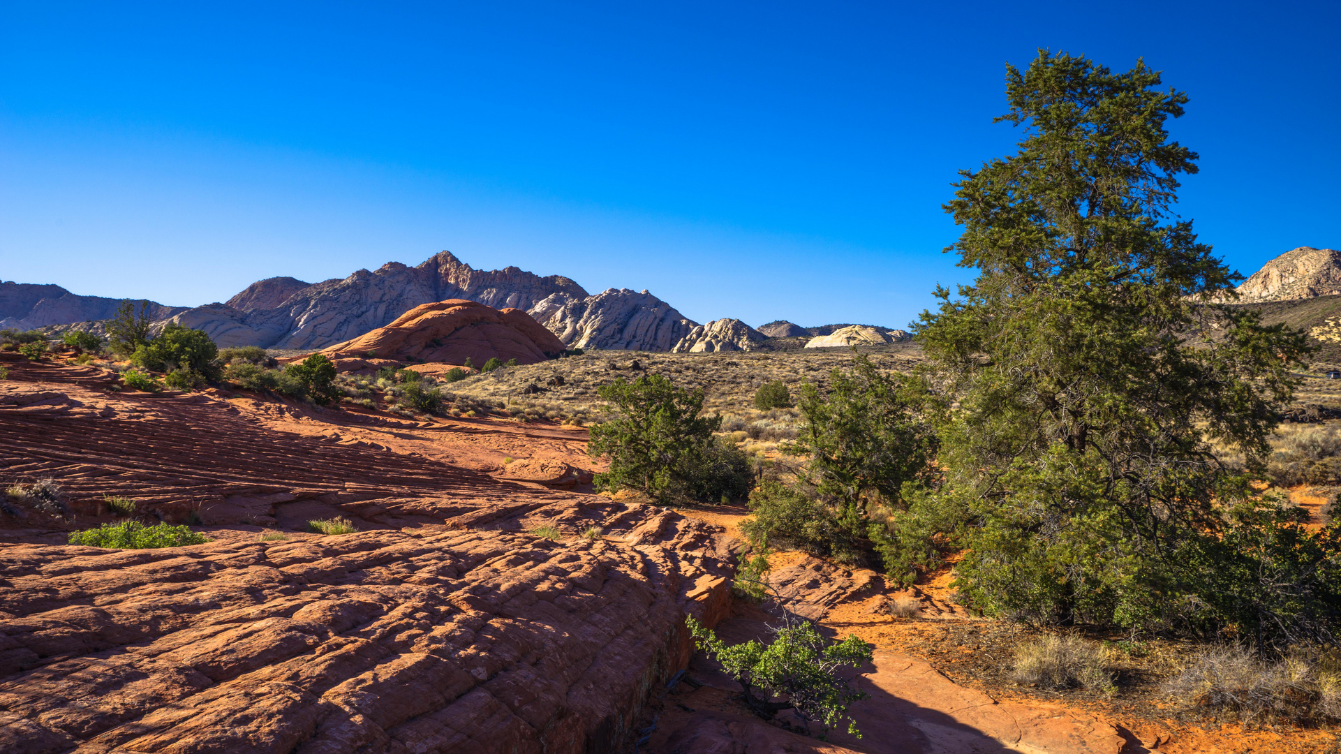 Snow Canyon im Abendlicht