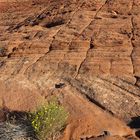 Snow Canyon State Park