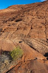 Snow Canyon State Park