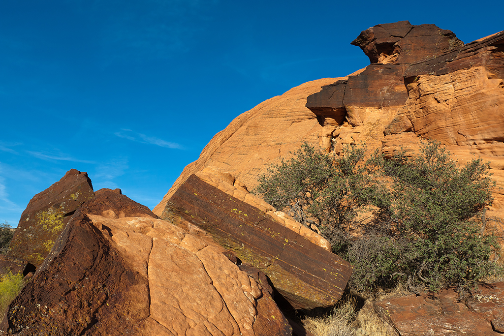 Snow Canyon State Park 2