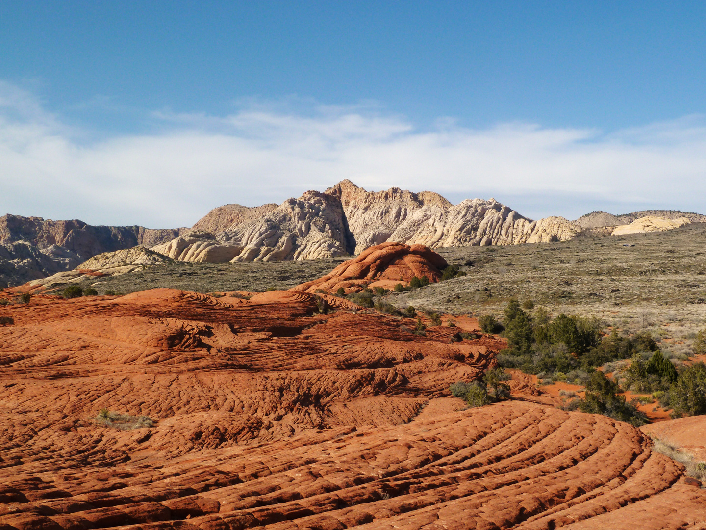 Snow Canyon State Park near St. George, UT