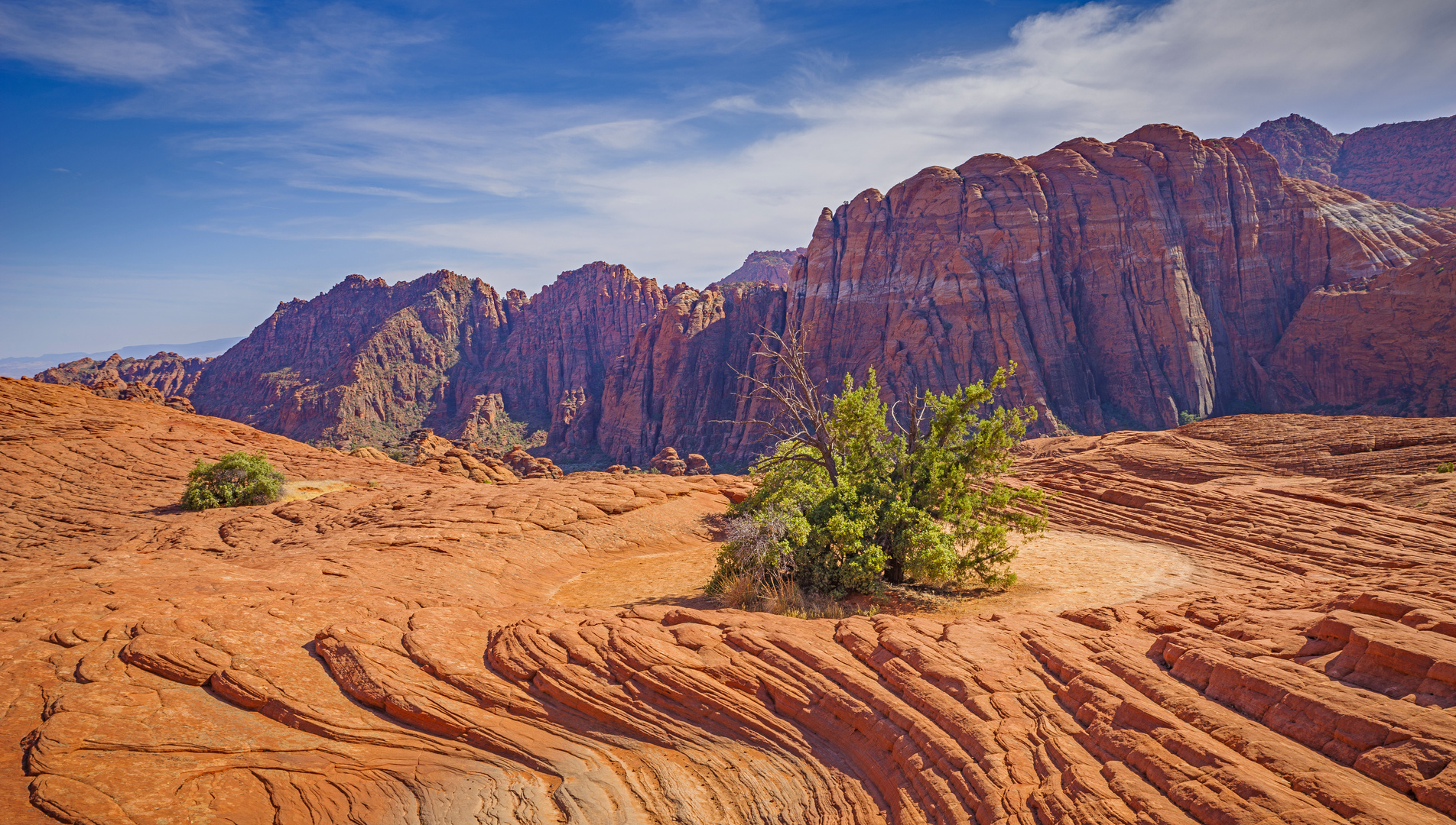 Snow Canyon without Snow