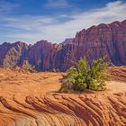 Snow Canyon without Snow