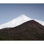 Snow Cap - Schneehaube