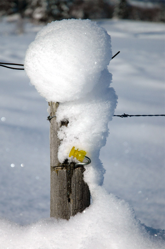 Snow cap - Winterhaube