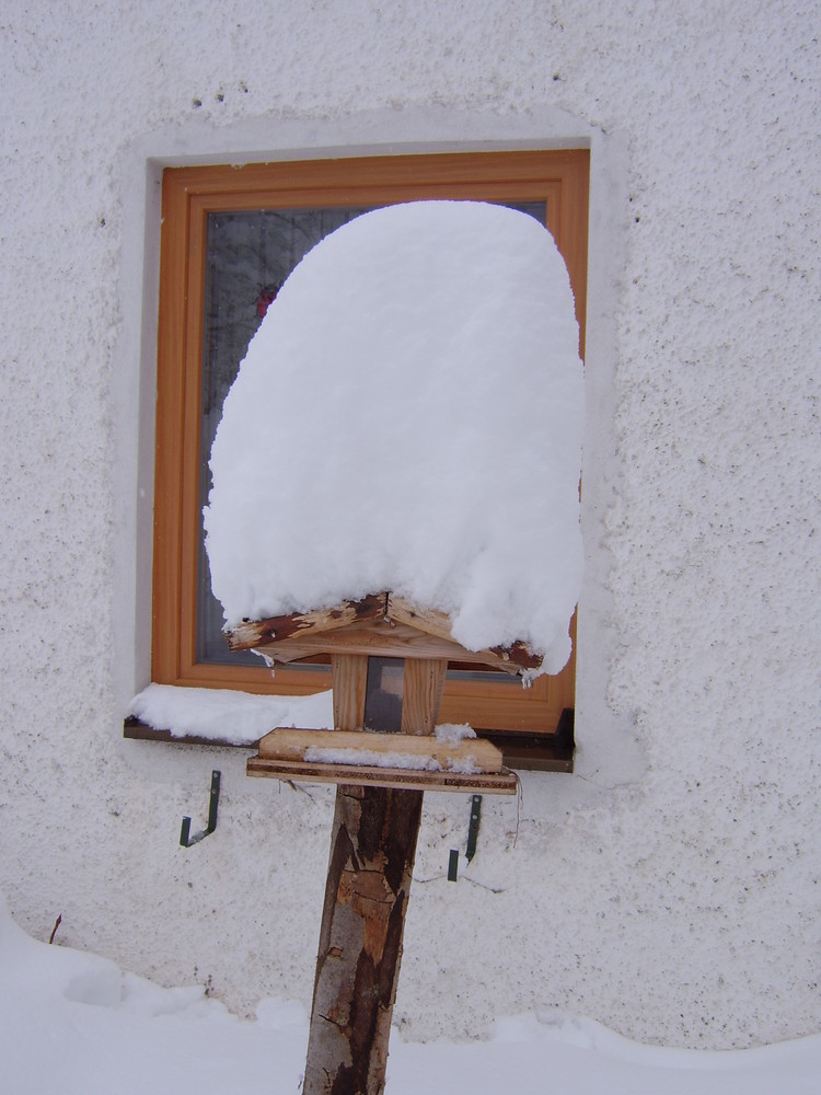 snow capped birdhouse