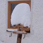 snow capped birdhouse