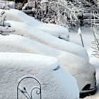 snow cars