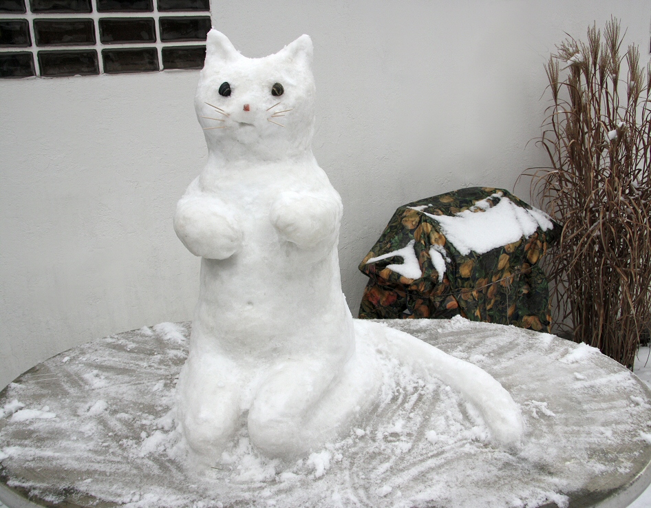 Snow Cat / Schneekatze