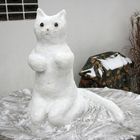 Snow Cat / Schneekatze