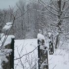 Snow Covered Fence