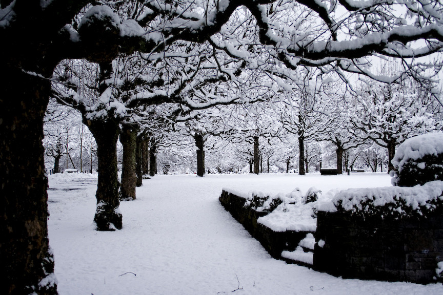 snow-covered graveyard