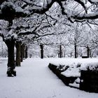 snow-covered graveyard