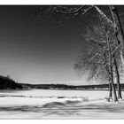 Snow covered Swartswood Lake