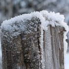 Snow Crystals