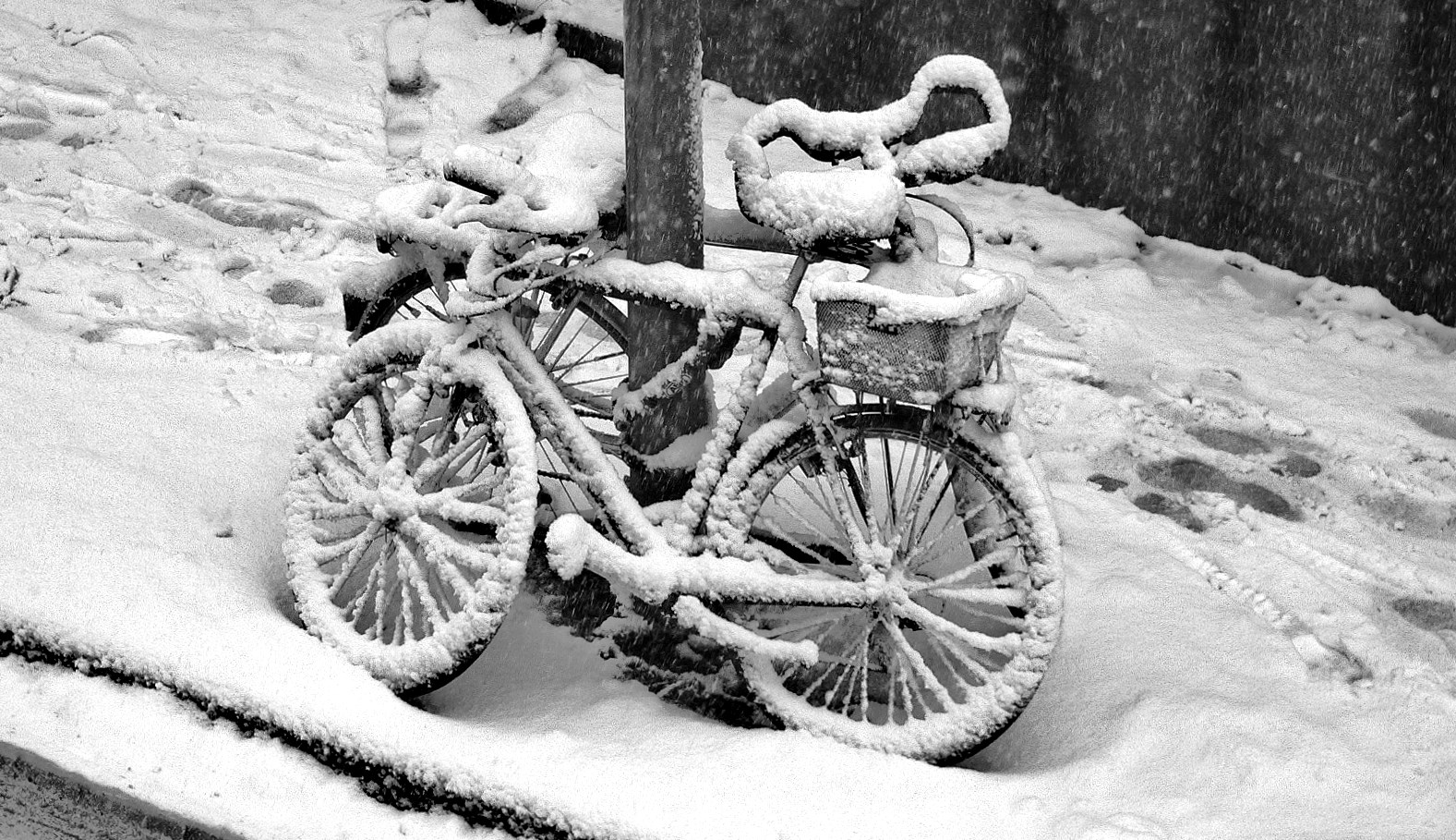 Snow-Cycle / Schnee-Fahrrad (Nur für einen Tag) only one Day