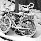 Snow-Cycle / Schnee-Fahrrad (Nur für einen Tag) only one Day