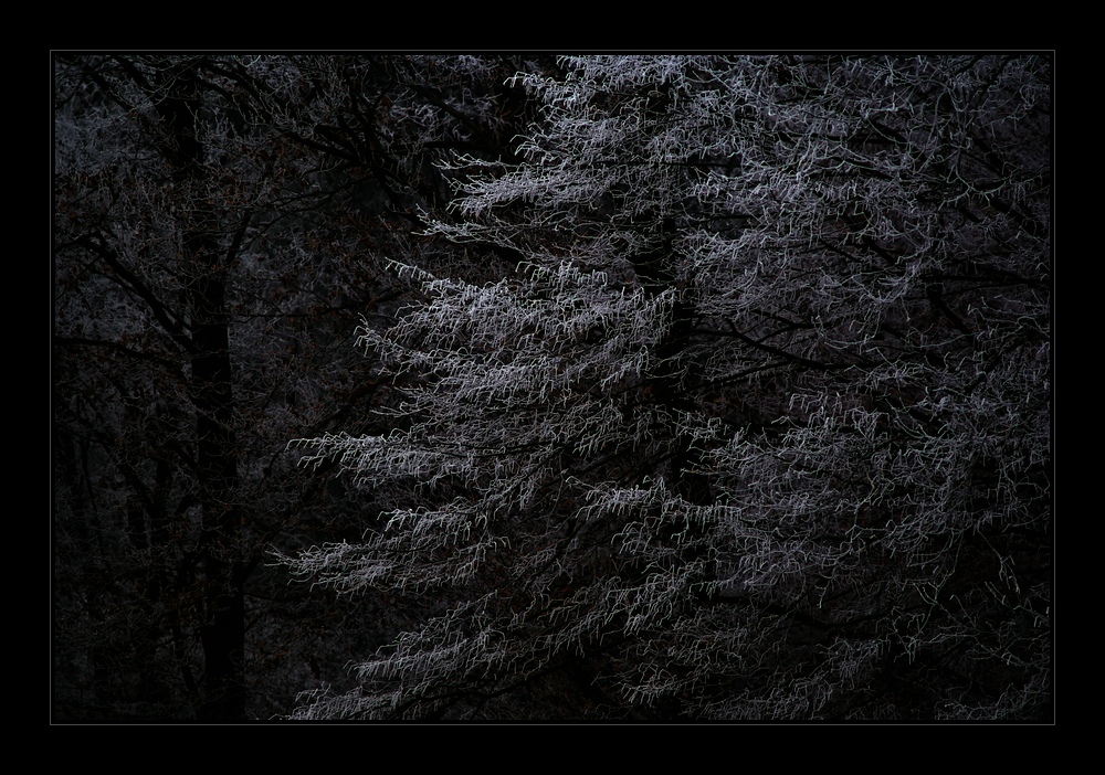 snow dark