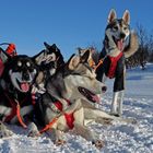 Snow Dogs, 24 Pfoten unterwegs von.....