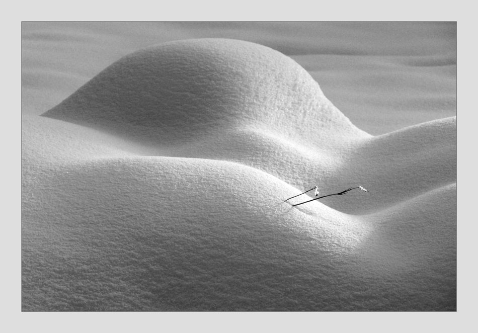 Snow erotics