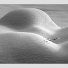 Snow erotics