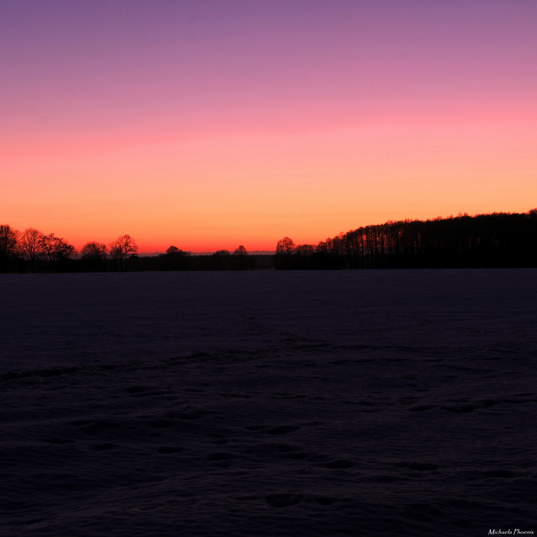 Snow Field