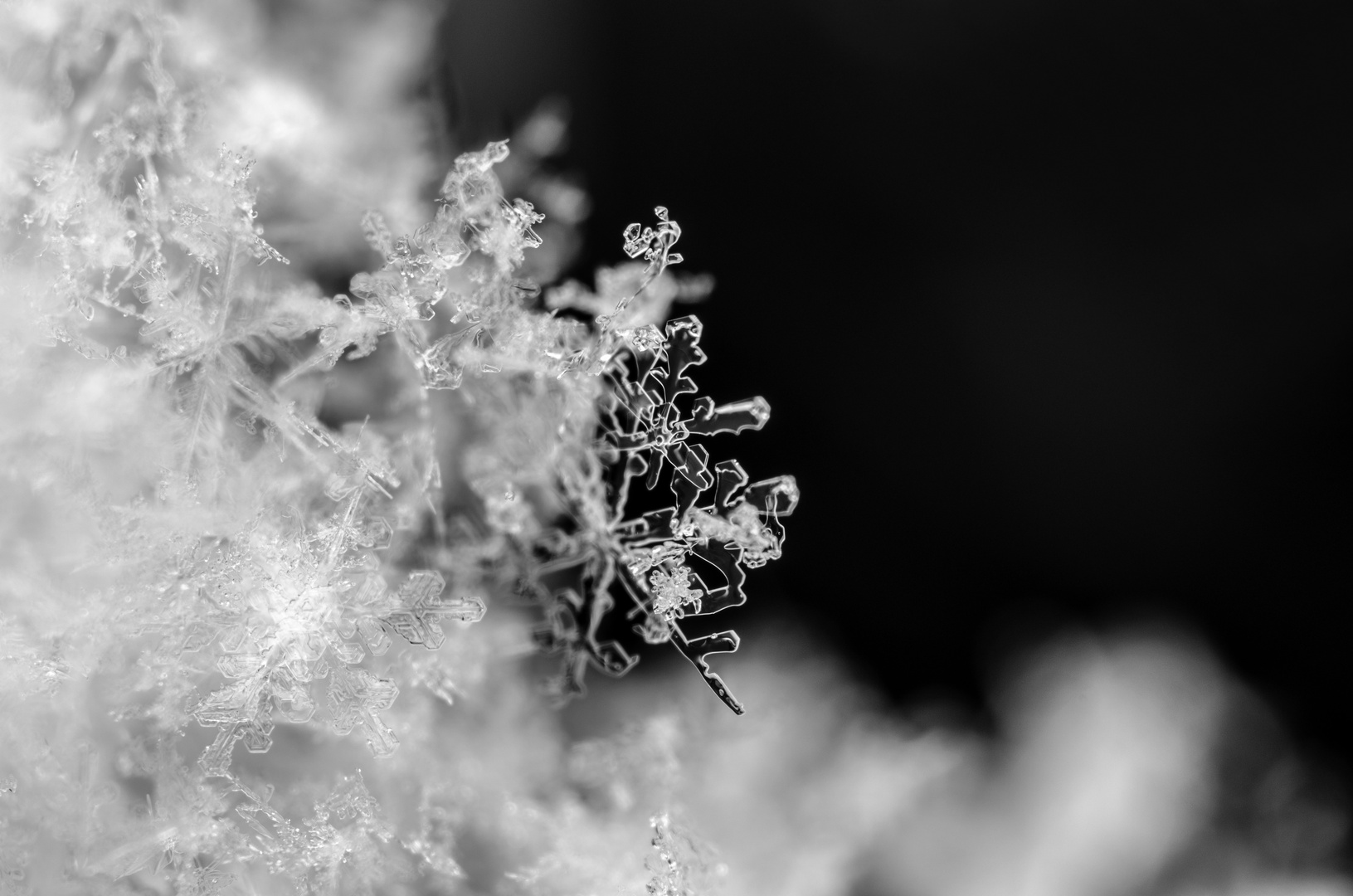 snow flakes