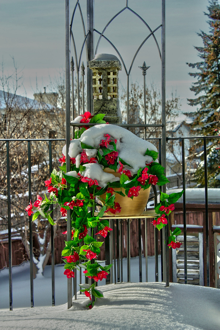 snow flowers