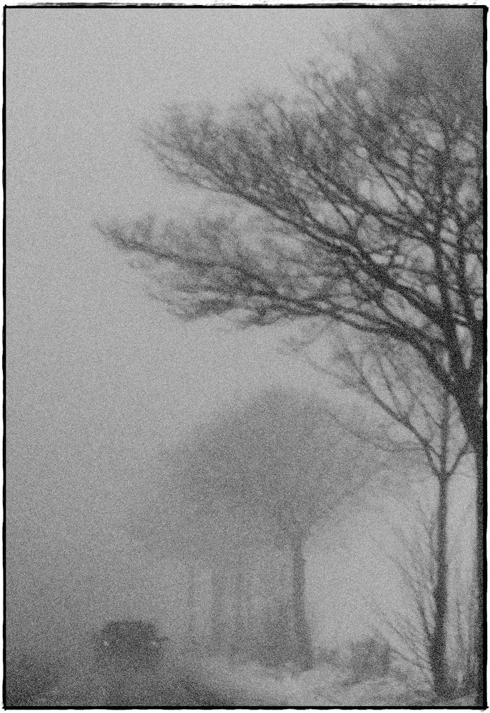 [ snow fog ]