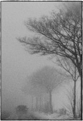 [ snow fog ]