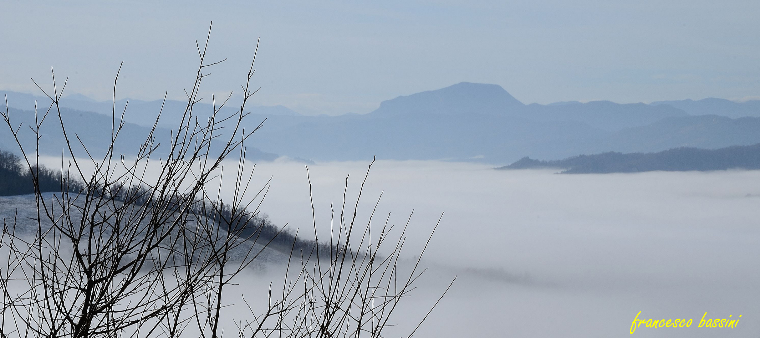 snow & fog