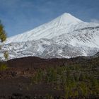 Snow for Christmas 2013 on Pico de Teide