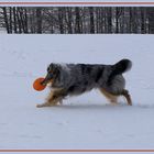 Snow-Frisbee ~2~