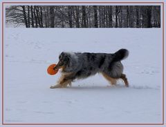 Snow-Frisbee ~2~