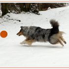 Snow-Frisbee